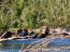 Autoridad Marítima de Puerto Cisnes rescató a 7 personas en el sector de Laguna Escondida.