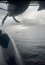 Armada efectuó Fiscalización Pesquera Oceánica en la jurisdicción de la Segunda y Quinta Zona Naval