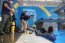 Especialistas en Buceo Salvataje participaron en Curso de Investigación Criminalística Subacuática