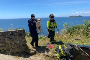 Policía Marítima rescató a un canino que se encontraba atrapado en acantilado en playa Arena Gruesa Policía Marítima rescató a un canino que se encontraba atrapado en acantilado en playa Arena Gruesa
