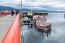 Autoridad Marítima de Puerto Williams se despliega en hundimiento de embarcación en muelle de pescadores