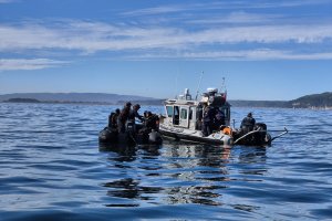 Concluye operación de Búsqueda y Salvamento tras hallazgo de tripulantes de embarcación siniestrada “Magdalena II” Concluye operación de Búsqueda y Salvamento tras hallazgo de tripulantes de embarcación siniestrada “Magdalena II”