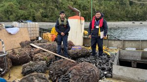 Fiscalización con Sernapesca por plan Reloncaví Fiscalización con Sernapesca por plan Reloncaví