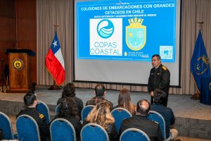 Armada de Chile participa en seminario sobre colisiones de embarcaciones con grandes cetáceos