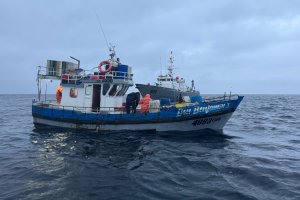 Autoridad Marítima detecta 600 kilos de merluza austral en infracción a la normativa vigente