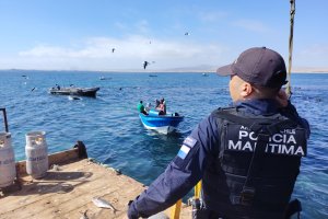 Capitanía de Puerto de Caldera incauta siete toneladas de recurso en veda
