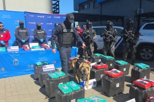 Operativo interagencial permite la incautación de 848 kilos de marihuana en el Puerto de San Antonio