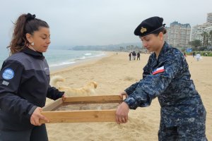 Capitanía de Puerto de Valparaíso lideró jornada de limpieza en playa El Sol de Viña del Mar
