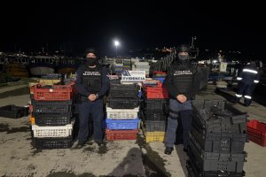 Policía Marítima incautó 2.800 kilos de reineta y un camión durante fiscalización en Calbuco