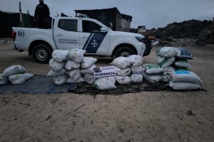 Capitanía de Puerto de Caldera incauta 1.600 kilos de machas en veda
