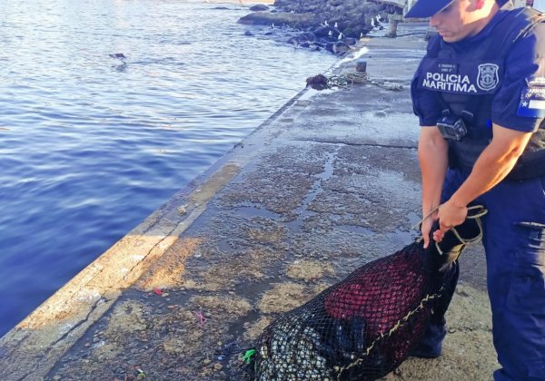 Capitanía de Puerto de Tongoy fiscaliza prohibición de extracción de mariscos bivalvos
