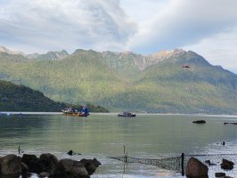 Autoridad Marítima despliega operativo de búsqueda tras hundimiento de embarcación en el Estuario Reloncaví