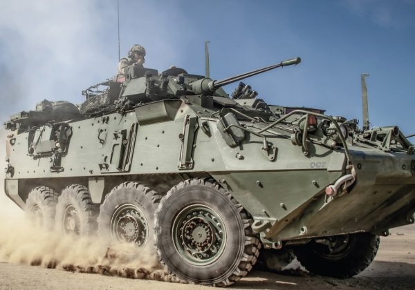 NZLAV, el blindado 8x8 que redefine maniobras de la Infantería de Marina