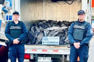Autoridad Marítima de Puerto Montt incauta alrededor de tres toneladas de bacalao