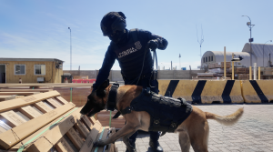 Golpe al narcotráfico: Armada y trabajo interagencial logran detectar cargas con cocaína y ketamina por más de 68 toneladas en Arica