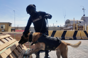 Golpe al narcotráfico: Armada y trabajo interagencial logran detectar cargas con cocaína y ketamina por más de 68 toneladas en Arica