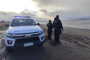Autoridad Marítima de Punta Arenas activa operativo por presunta desgracia