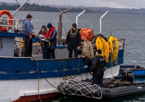 Plan Reloncaví: fiscalizaciones para resguardar la seguridad y salud en Semana Santa