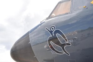 Armada de Chile: Con ceremonia en Rapa Nui autorizan el uso de símbolo Manutara en avión de exploración marítima