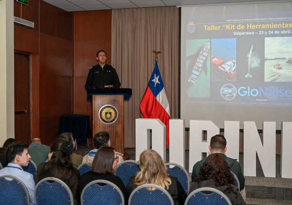 Chile avanza en la mitigación del ruido submarino con taller internacional especializado