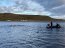Capitanía de Puerto de Punta Arenas resguardó a ocho nadadores del club Delfines en cruce del canal Fitz Roy