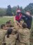 Grumetes Infantes de Marina finalizaron con éxito el curso de Combatiente Básico Anfibio