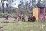 Grumetes Infantes de Marina finalizaron con éxito el curso de Combatiente Básico Anfibio