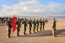 Infantes de Marina obtienen Categoría Oro y segundo lugar en la Competencia de Patrullas de Infantería 2026