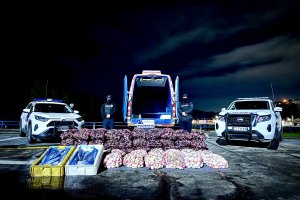 Capitanía de Puerto de Puerto Montt incauta más de 3 toneladas de recursos hidrobiológicos
