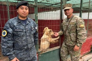 Servidores de la Armada de Chile participan en Curso de Instrucción Canina impartido por Carabineros