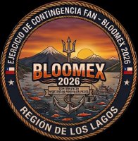 Quinta Zona Naval y SENAPRED realizaron ejercicio “BLOOMEX 2026” en la Región de Los Lagos