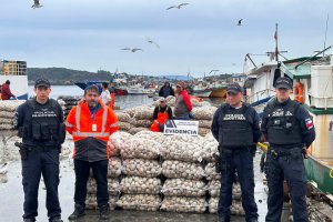 Armada de Chile y Autoridad Sanitaria de Chiloé incautan 1.500 kilos de almeja no apta para el consumo humano