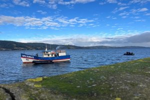 Armada de Chile detiene a tripulación de embarcación pesquera por extracción ilegal de reineta en aguas de Chiloé