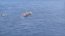 Armada detecta 21 pesqueros extranjeros operando cerca de Rapa Nui
