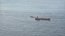 Armada detecta 21 pesqueros extranjeros operando cerca de Rapa Nui
