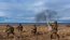 Ministro de Defensa y Comandante en Jefe de la Armada revistan a personal de la Fuerza Anfibia desplegado en tierra